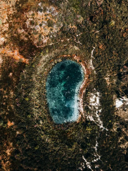 Training & Consultation